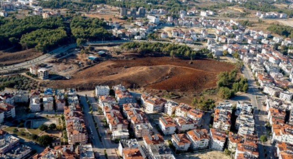 ANTALYA’DA YANAN KIZILÇAM LARIN YERİNİ ZEYTİN, KEÇİBOYNUZU VE DEFNE ALACAK