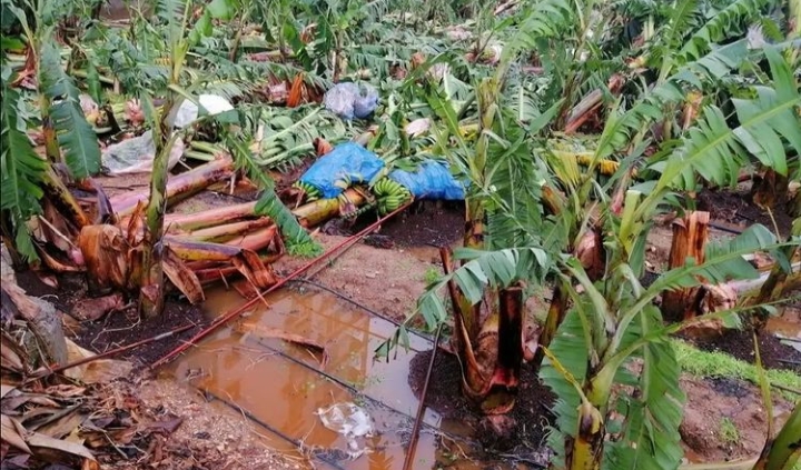 TAM BİR AFET YAŞANDI