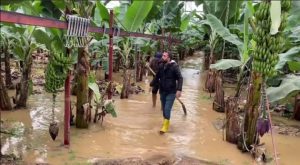 ALANYA GÜNLERDİR FELAKETİ YAŞIYOR