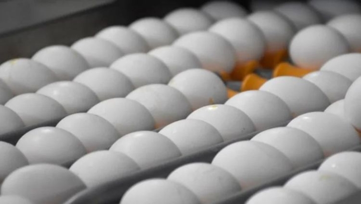 YUMURTA FİYATLARINA İNCELEME BAŞLATILDI