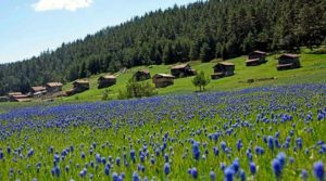 BAHARIN HABERCİSİ İLK CEMRE BUGÜN DÜŞÜYOR