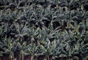 16. ULUSAL FOTOĞRAF YARIŞMASI SONUÇLANDI