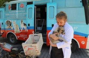 ALANYA BELEDİYESİ KIRSALDAKİ HAYVANLARIN BAKIM VE KONTROLLERİNİ EKSİKSİZ YAPIYOR