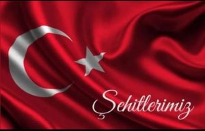 ŞEHİDİMİZİN KANI YERDE KALMADI  1 ŞEHİDE 13 LEŞ