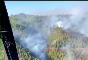 ALANYA’DA ORMAN YANGINI