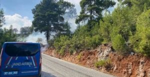 ALANYA’DA ORMAN YANGINI KONTROL ALTINA ALINDI 