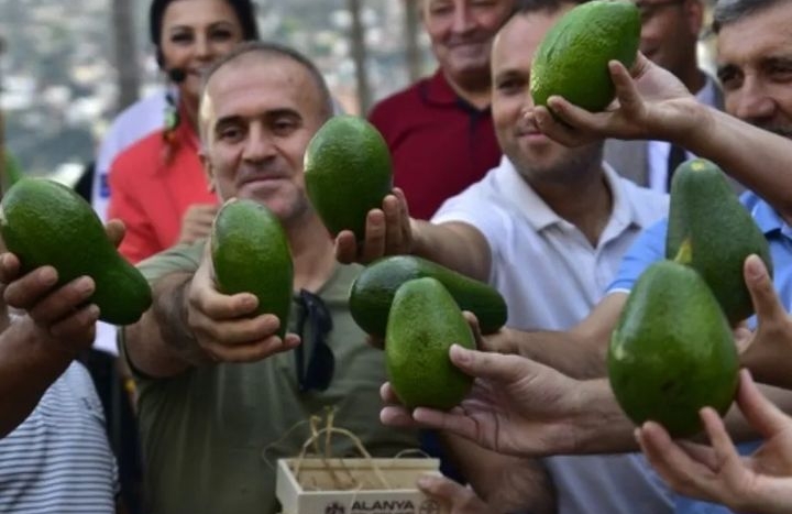 FESTİVALİN ENLERİ BELLİ OLDU