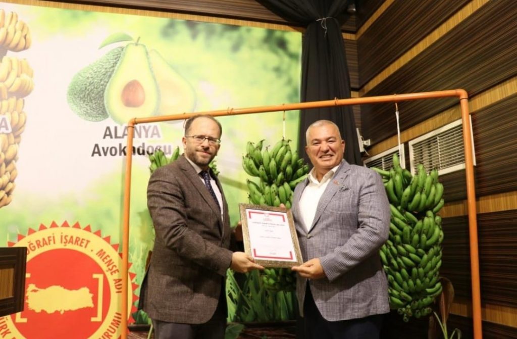 İŞTE ALANYA MUZUNUN YENİ LOGOSU