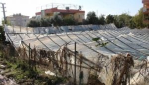 DOLUNUN ZARAR VERDİĞİ SERALARDA HASAR TESPİTİ BAŞLADI