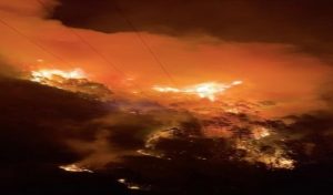 ALANYA’DA ORMAN YANGINI 2 MAHALLE BOŞALTILDI