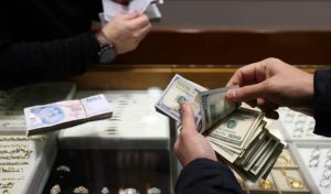 MERKEZ BANKASI YIL SONU BEKLENTİ ANKETİNİ YAYINLADI