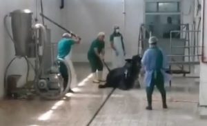 ET VE SÜT KURUMUNDA SKANDAL