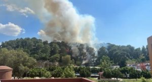 SICAKLARLA BİRLİKTE ORMAN YANGINLARI DA BAŞLADI