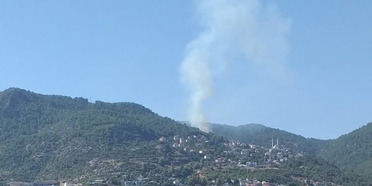 ALANYA’DA ORMAN YANGINI