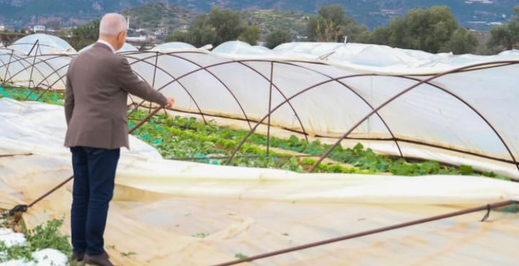 ÖZÇELİK’TEN ZARAR GÖREN ÇİFTÇİLERE DESTEK SÖZÜ