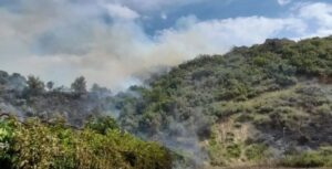 ZAMANINDA MÜDAHALE EDİLEN ORMAN YANGINI SÖNDÜRÜLDÜ