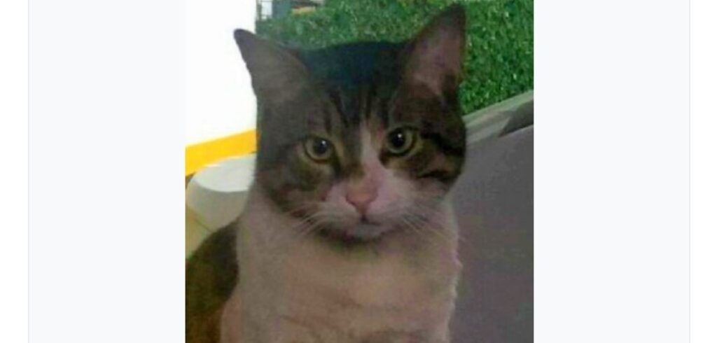 “EROS”UN KANI YERDE KALMADI