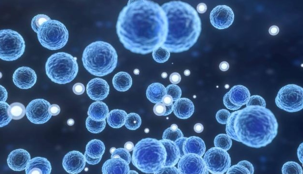 JAPONYA’DA ‘ET YİYEN BAKTERİ VAKA SAYISI EN YÜKSEK SEVİYEDE