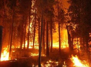 ALEVLERE BÜYÜK MÜCADELE SÜRÜYOR