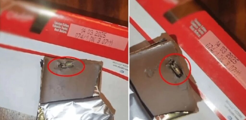 ÜNLÜ ÇİKOLATA MARKASINDAN ÇIKANLAR MİDE BULANDIRDI