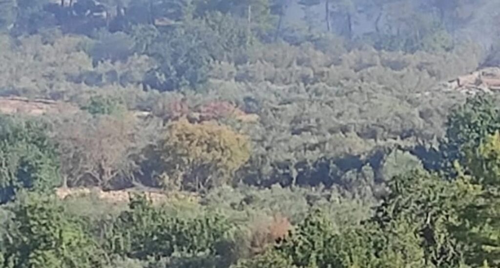 ALANYA’DA ORMANLIK ALANA İHA DÜŞTÜ