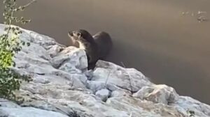 RİZE’DE GÖRÜNTÜLENDİLER