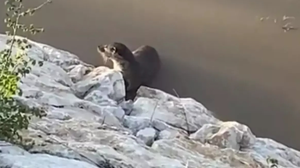 RİZE’DE GÖRÜNTÜLENDİLER