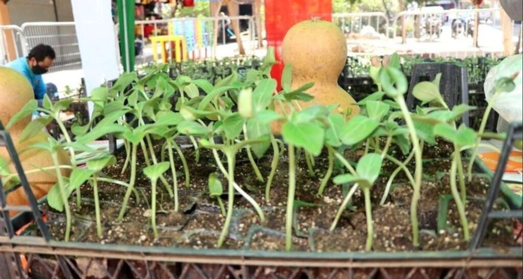 ALANYA’DA ÜRETİM HAMLESİ