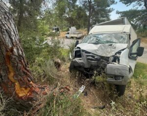 KAMYONET AĞACA ÇARPTI SÜRÜCÜSÜ HAYATINI KAYBETTİ