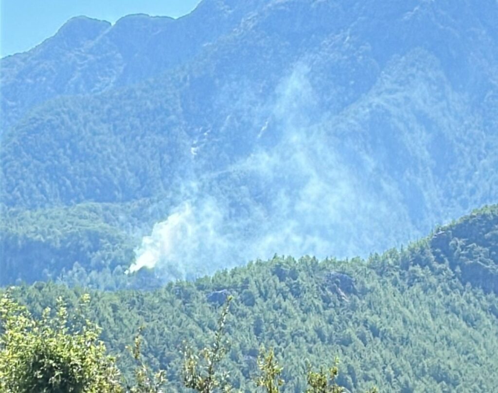 GÜZYAKA’DA ORMAN YANGINI